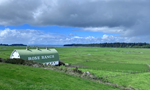 Rose Ranch Landscape